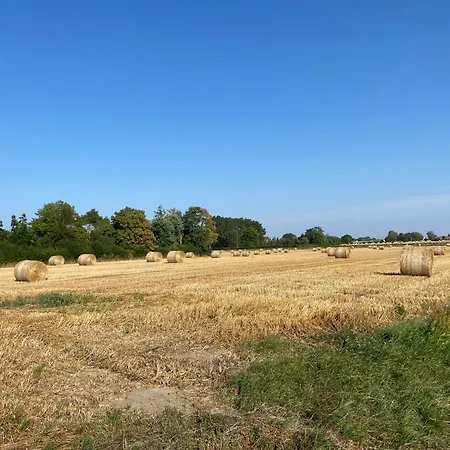 De L Yser Bambecque